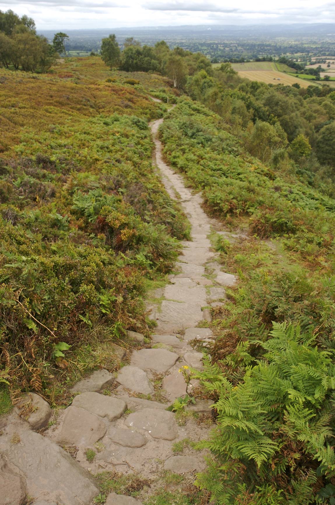 Waypoint 7 photo