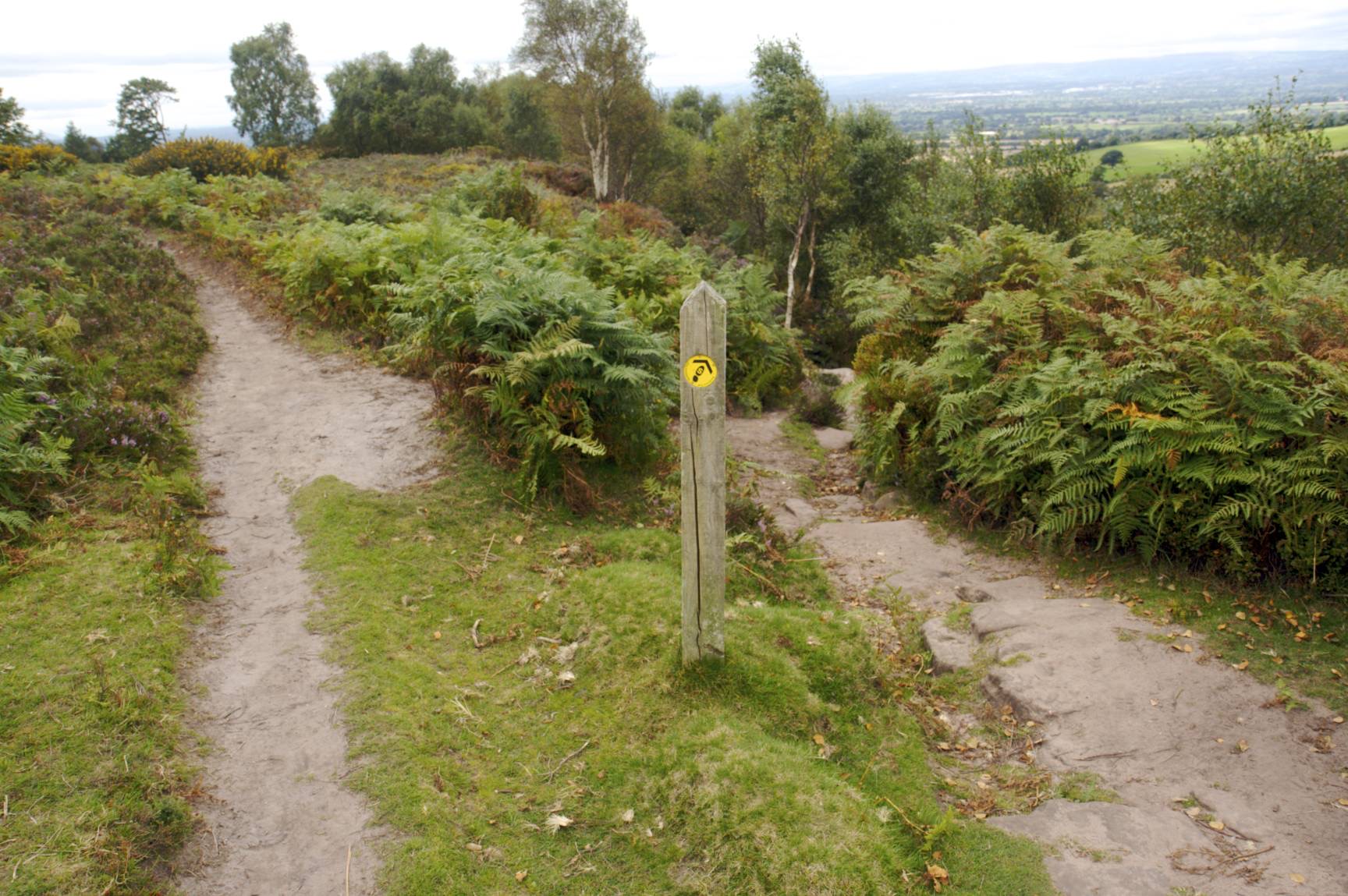 Waypoint 8 photo